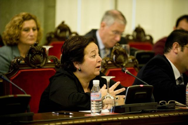El pleno aprueba la memoria de gestión del Auditorio - 2, Foto 2