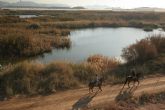El humedal de Las Moreras incluido en la lista Ramsar
