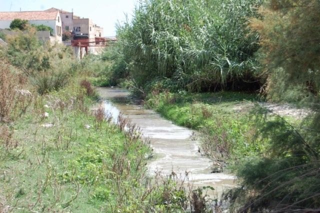 JOVAL rehabilitará un tramo de la subcuenca del Río Mula a su paso por Alguazas - 3, Foto 3