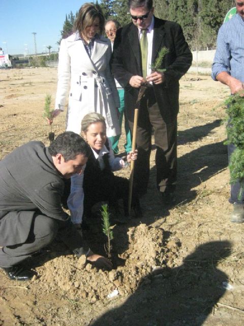Plantan casi 200 árboles en Joven Futura para compensar las emisiones del Festival Estrella de Levante SOS 4.8 - 2, Foto 2