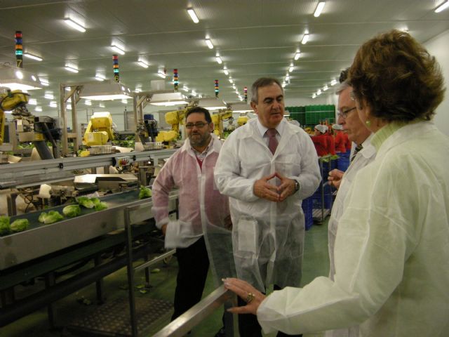 Visita del delegado del Gobierno a Frutas El Dulze - 1, Foto 1