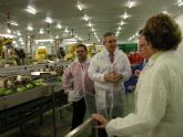 Visita del delegado del Gobierno a Frutas El Dulze