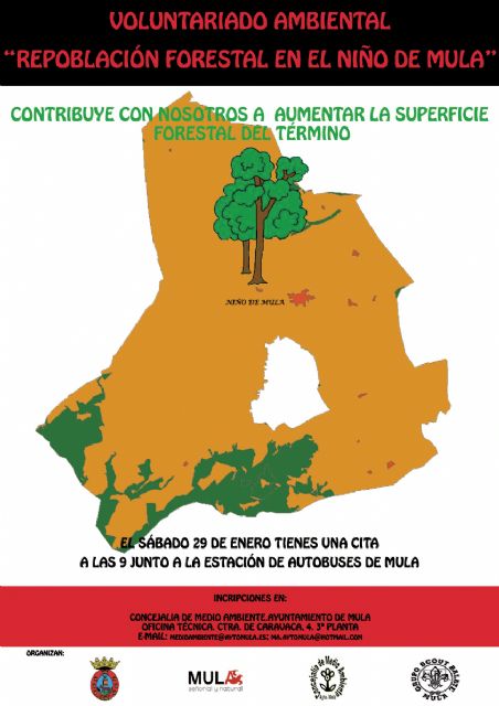 Medio Ambiente y el Grupo Scout organizan una actividad de voluntariado para repoblar una parcela forestal en el Niño de Mula - 1, Foto 1