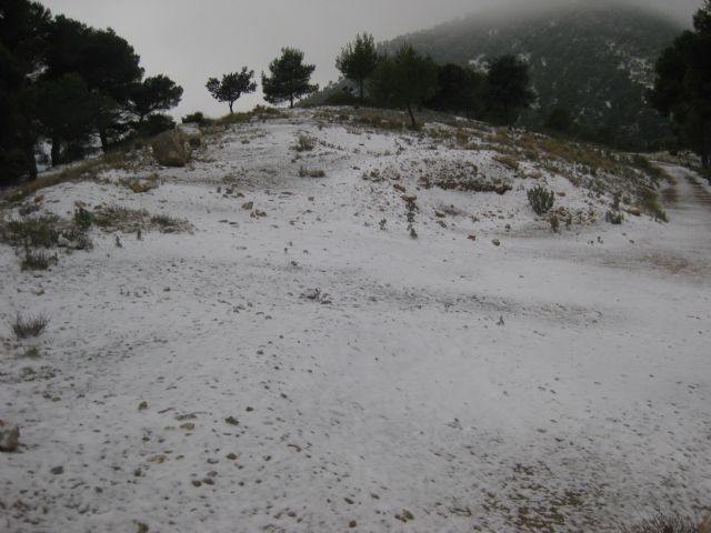 La nieve ha empezado a cuajar a partir de la altura del Collado del Pilón, y en la zona del EVA 13 de Sierra Espuña, Foto 3