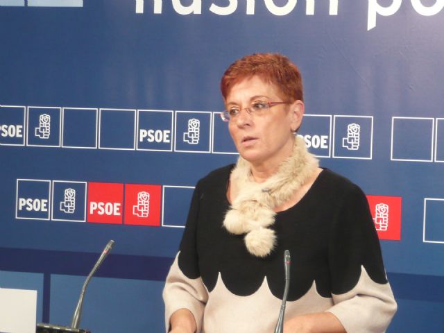 Begoña García Retegui: La manifestación de ayer fue una demostración de civismo y de respeto y defensa de los servicios públicos - 1, Foto 1