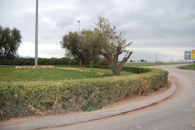 El Pleno debatirá mañana cerca de una veintena de propuestas, Foto 1