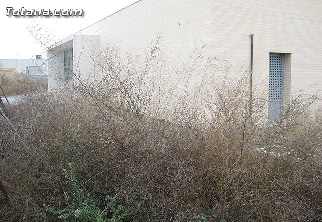 Rueda de prensa PSOE Totana 26/01/2011, Foto 3