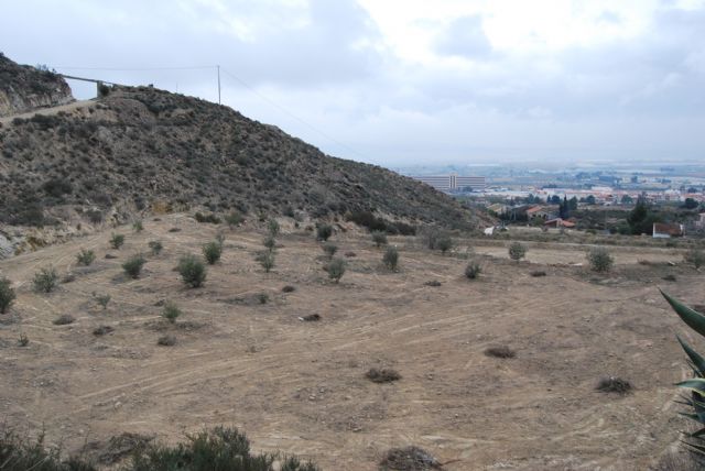 El Ayuntamiento adquiere 10.000 metros cuadrados en El Collao, Foto 2