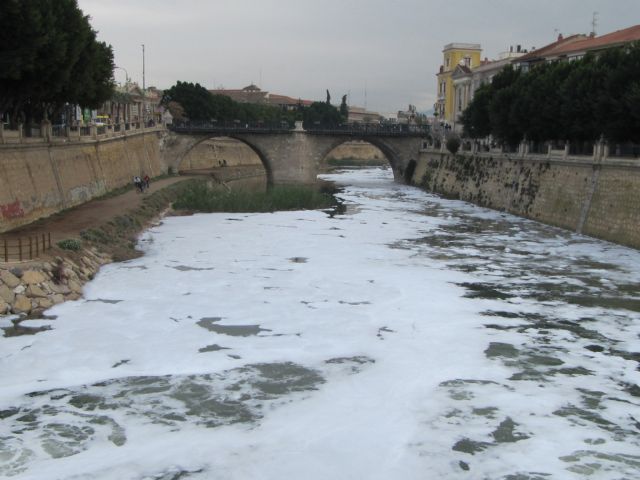 IU-Verdes pregunta si la presencia de espuma en el río Segura se debe a un vertido contaminante - 1, Foto 1