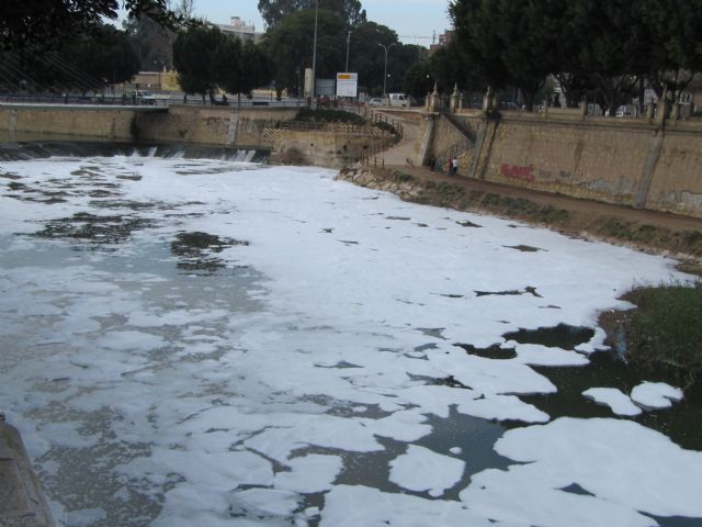 IU-Verdes pregunta si la presencia de espuma en el río Segura se debe a un vertido contaminante - 2, Foto 2