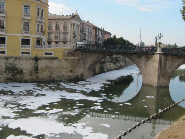 IU-Verdes pregunta si la presencia de espuma en el río Segura se debe a un vertido contaminante - 3, Foto 3