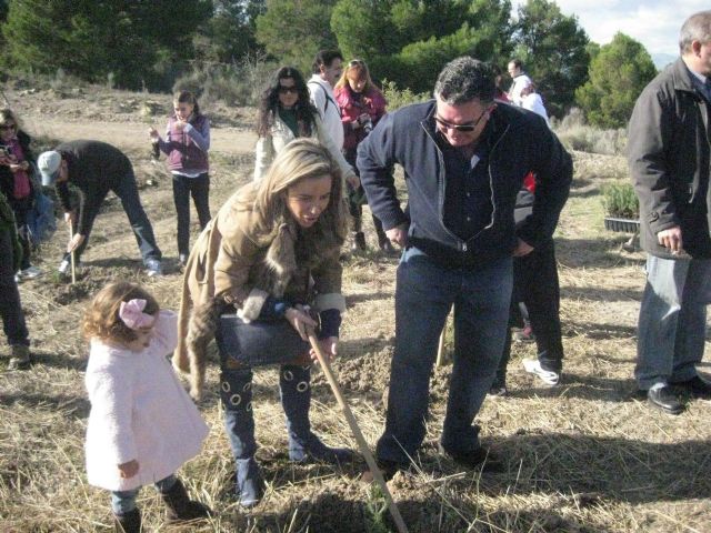Murcia cuenta con 5.000 nuevos árboles gracias a los clientes de Aguas de Murcia que se han dado de alta en la factura electrónica - 3, Foto 3
