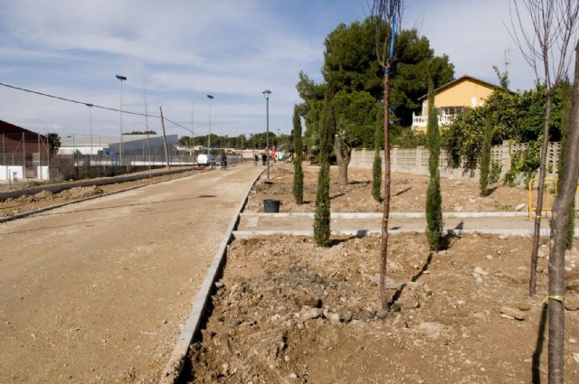 Un olivo centenario adorna la Vía Verde de Barrio Peral - 4, Foto 4