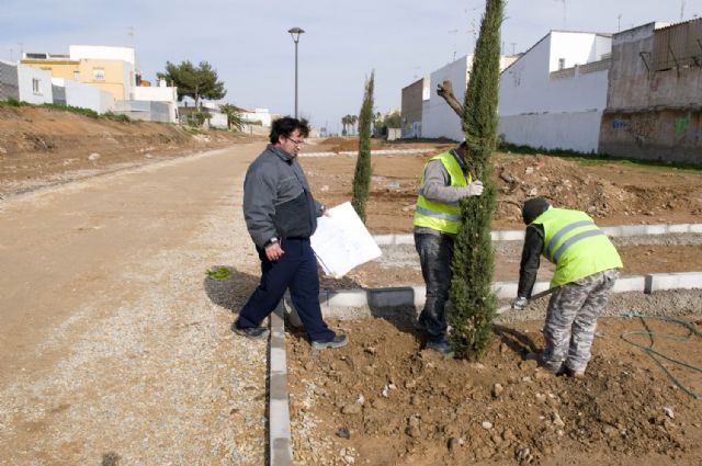 Un olivo centenario adorna la Vía Verde de Barrio Peral - 5, Foto 5