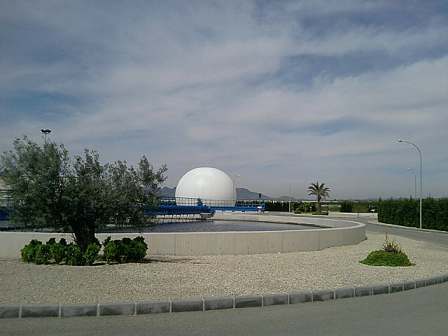 Una tesis demuestra que las aguas regeneradas aportan nutrientes y aumentan la calidad de los cítricos - 1, Foto 1