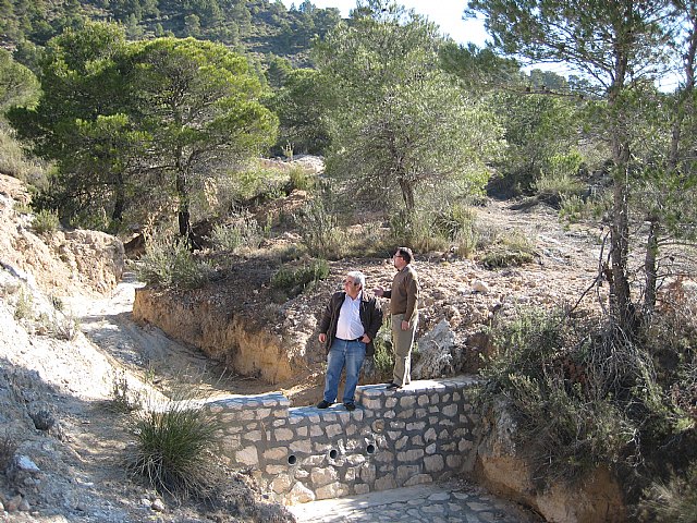 Agricultura realiza actuaciones en montes públicos de Lorca para prevenir plagas en el arbolado dañado por la nieve - 1, Foto 1