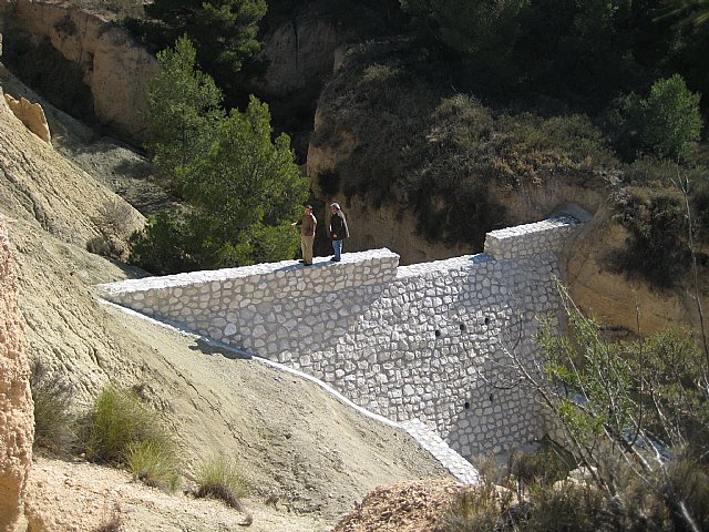 Agricultura realiza actuaciones en montes públicos de Lorca para prevenir plagas en el arbolado dañado por la nieve - 2, Foto 2