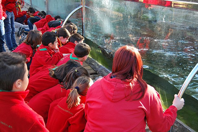 Un grupo scout visita el Centro de Recuperación El Valle - 2, Foto 2