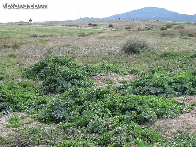 Finalizan las obras de la tercera fase de la red de saneamiento de El Paretn-Cantareros - 2