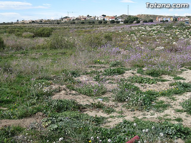 Finalizan las obras de la tercera fase de la red de saneamiento de El Paretn-Cantareros - 4