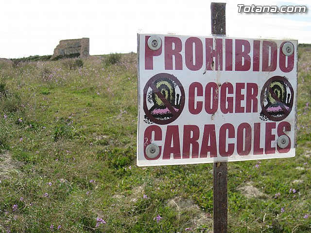 Finalizan las obras de la tercera fase de la red de saneamiento de El Paretn-Cantareros - 5