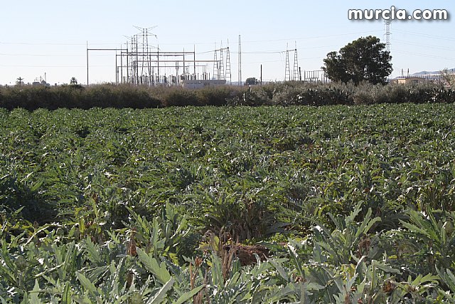 Terminan la instalacin de la red de Media Tensin del Polgono Industrial de El Saladar de Totana - 8