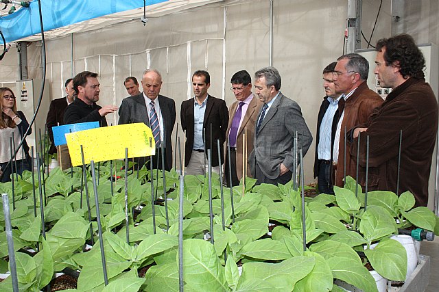 Cerdá destaca que Murcia está a la cabeza en el empleo de la lucha biológica para el control integrado de plagas - 1, Foto 1