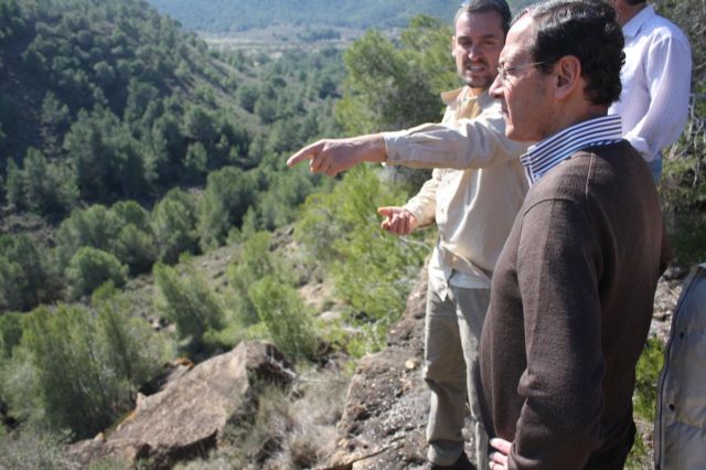 El Gobierno del PP incrementa en un 150% la superficie forestal del municipio gracias a la gestión del PGOU - 1, Foto 1