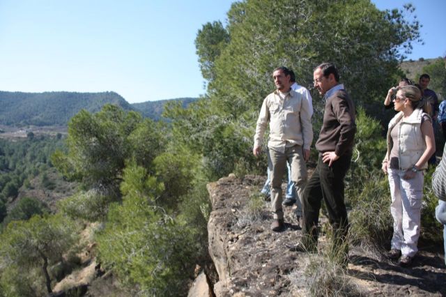 El Gobierno del PP incrementa en un 150% la superficie forestal del municipio gracias a la gestión del PGOU - 4, Foto 4