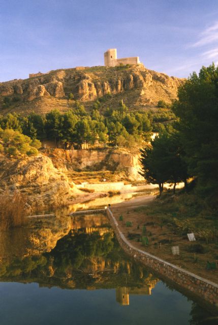 El próximo domingo 6 de marzo tendrá lugar un ´Concurso de pintura rápida´ en el Charco del Zorro - 1, Foto 1