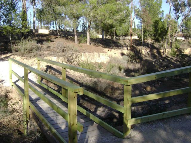 Abierto al público el segundo tramo del Corredor Verde La Fuente de Molina de Segura, que transcurre por la cuenca de la Rambla de las Monjas - 4, Foto 4