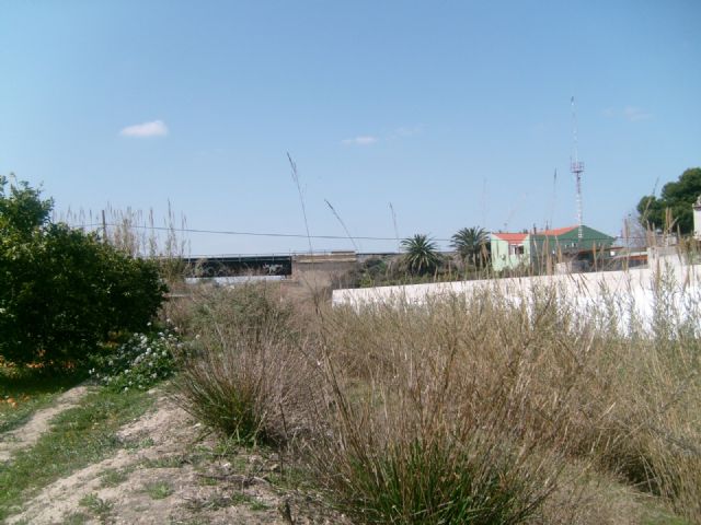 JOVAL asiste a la jornada de grafiti y limpieza del Río Mula a su paso por Alguazas - 1, Foto 1