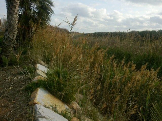 Democracia Pinatarense: Cuestión de días - 1, Foto 1