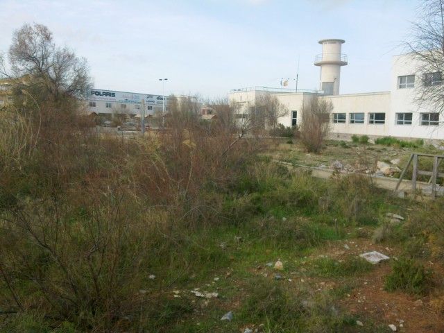 Democracia Pinatarense: Cuestión de días - 3, Foto 3