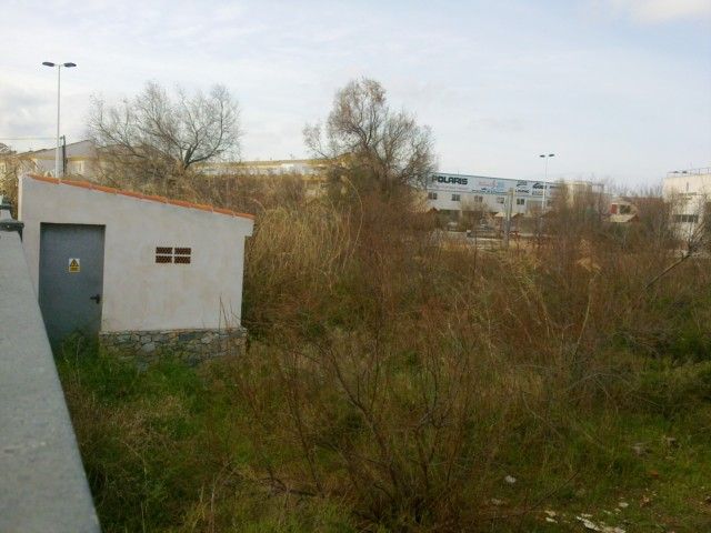 Democracia Pinatarense: Cuestión de días - 4, Foto 4