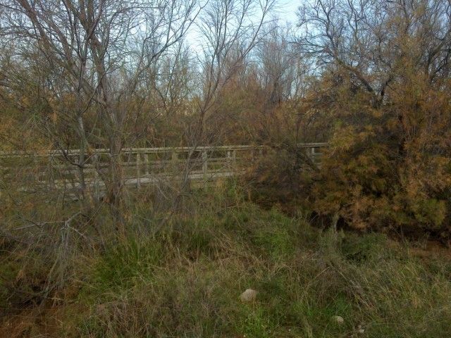 Democracia Pinatarense: Cuestión de días - 5, Foto 5