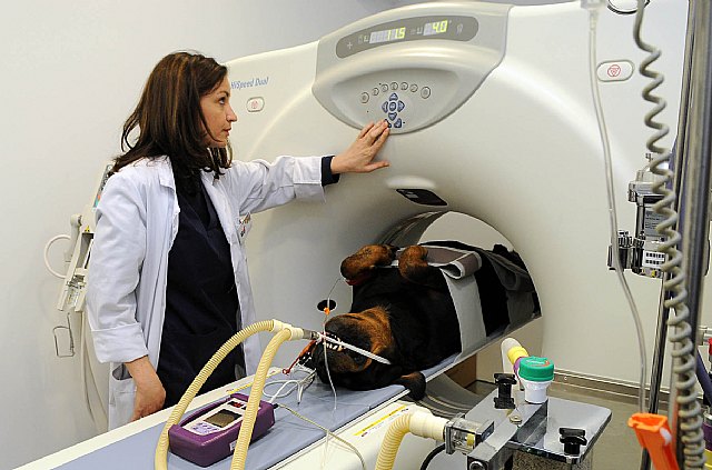 El rector inaugura nuevas instalaciones del Hospital Veterinario - 3, Foto 3