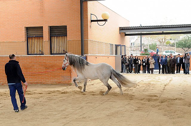 El rector inaugura nuevas instalaciones del Hospital Veterinario - 5, Foto 5