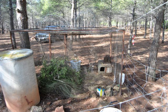 El Ayuntamiento cede instalaciones en el monte a la Sociedad de Cazadores para la cría de perdiz roja - 1, Foto 1