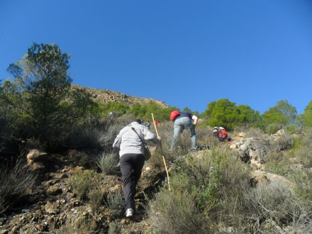 El pasado domingo 13 de Marzo, el club senderista de Totana, organiz una nueva actividad en el entorno de los huertos de Totana - 3