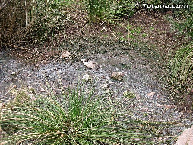 Martínez Usero: Los socialistas queremos un aire limpio, sin olores y sin contaminación para La Santa, Foto 2