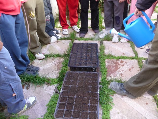 Los montes se reforestarán en otoño con plantas que los niños ya están cuidando en sus colegios - 1, Foto 1