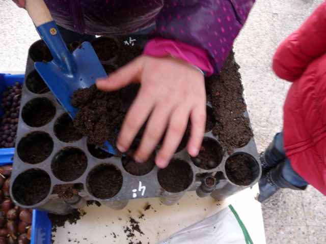 Los montes se reforestarán en otoño con plantas que los niños ya están cuidando en sus colegios - 3, Foto 3