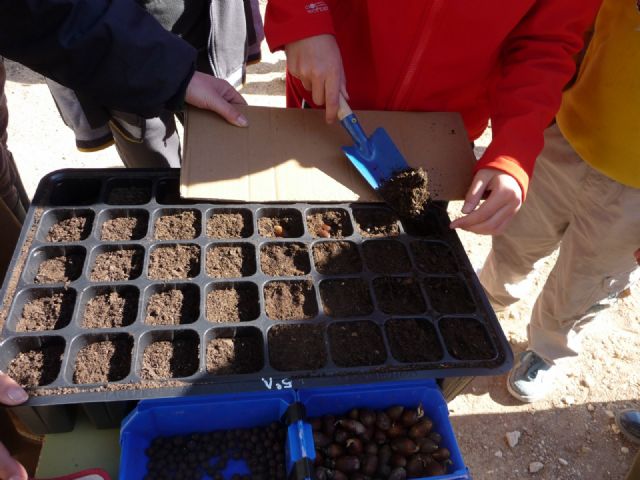 Los montes se reforestarán en otoño con plantas que los niños ya están cuidando en sus colegios - 4, Foto 4