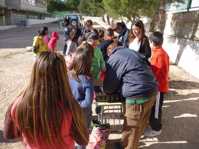 Los montes se reforestarán en otoño con plantas que los niños ya están cuidando en sus colegios - 5, Foto 5