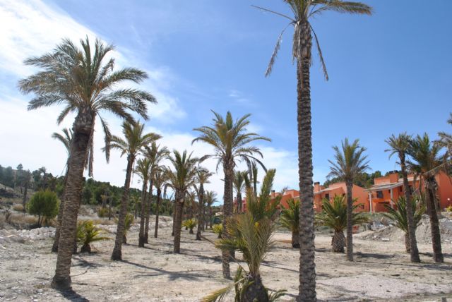 Se hacen eco de la gran cantidad de problemas que arrastran los vecinos de la Urbanización Nueva Caravaca desde hace casi tres años - 2, Foto 2