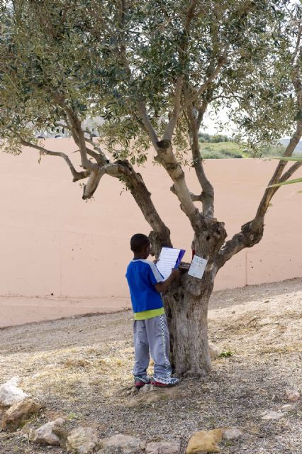 Una parque rescatado de los escombros para los vecinos de Los Mateos - 3, Foto 3
