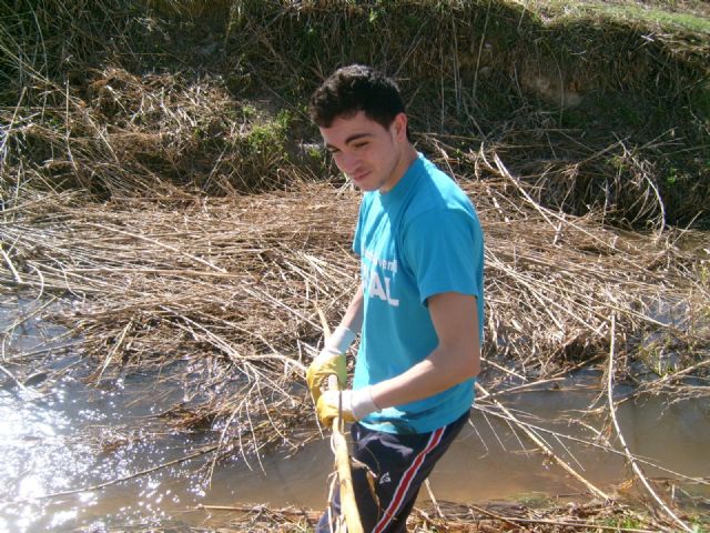 Los jóvenes de JOVAL fundamentales en la limpieza del Río Mula a su paso por Alguazas - 4, Foto 4