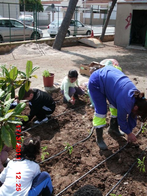 La concejalía de Medio Ambiente promoverá los huertos escolares y urbanos para fomentar la agricultura ecológica - 1, Foto 1