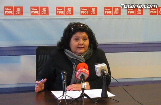 Rueda de prensa PSOE sobre el servicio de ayuda a domicilio, Foto 1